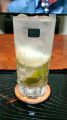 wGin Rickey (WEbL[)x
