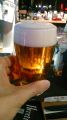 Revolution BrewingwAnti-Hero IPAx