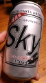 _˕YwSKYx