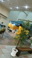 NX^x vL wCRYSTA Premium BARx